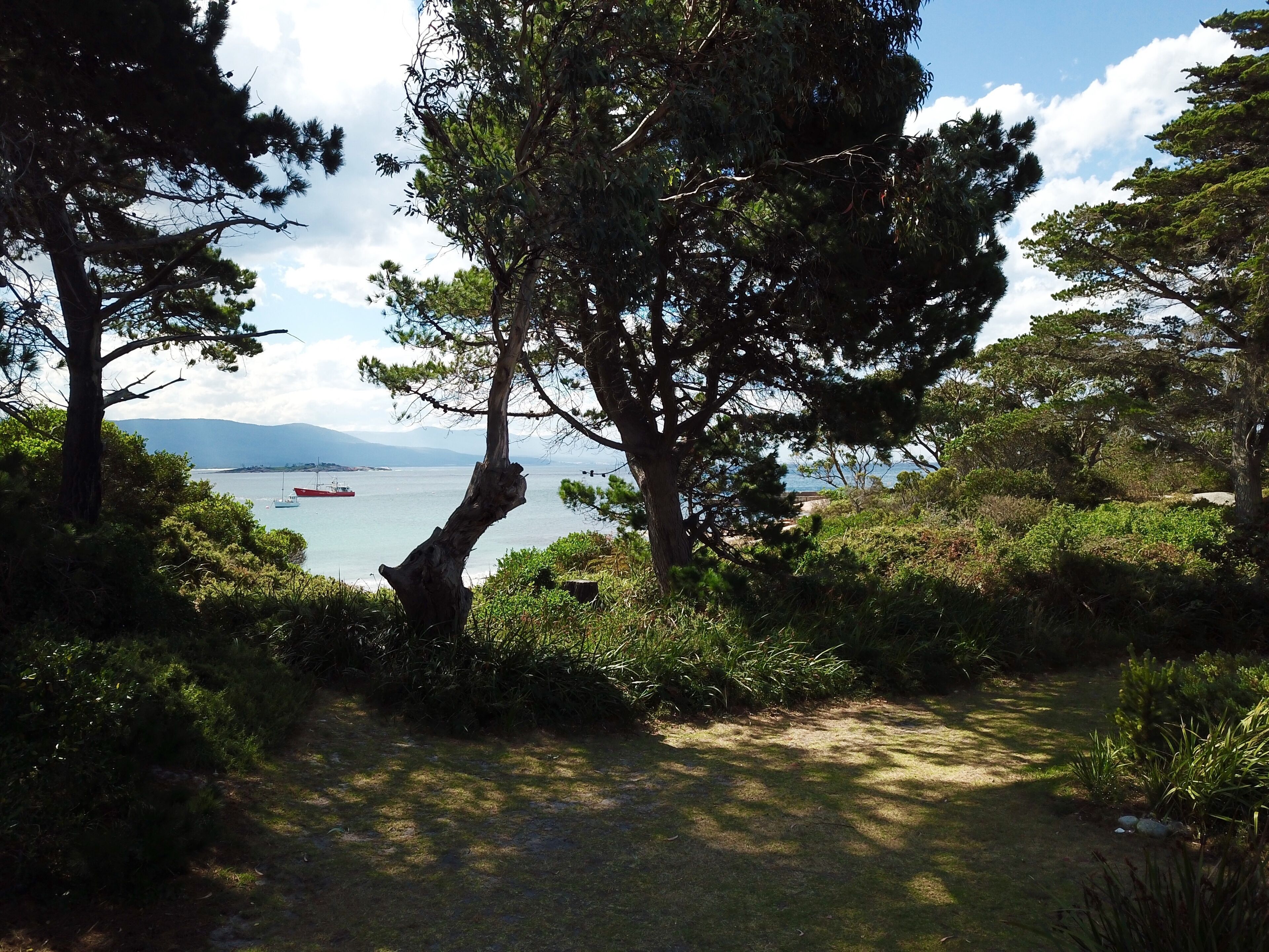 Bicheno Beach House  — image 29