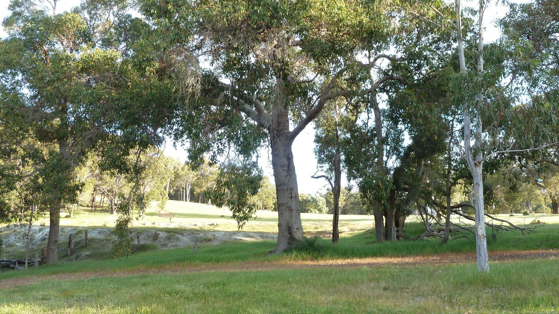 Yallingup Hidden Valley — image 26