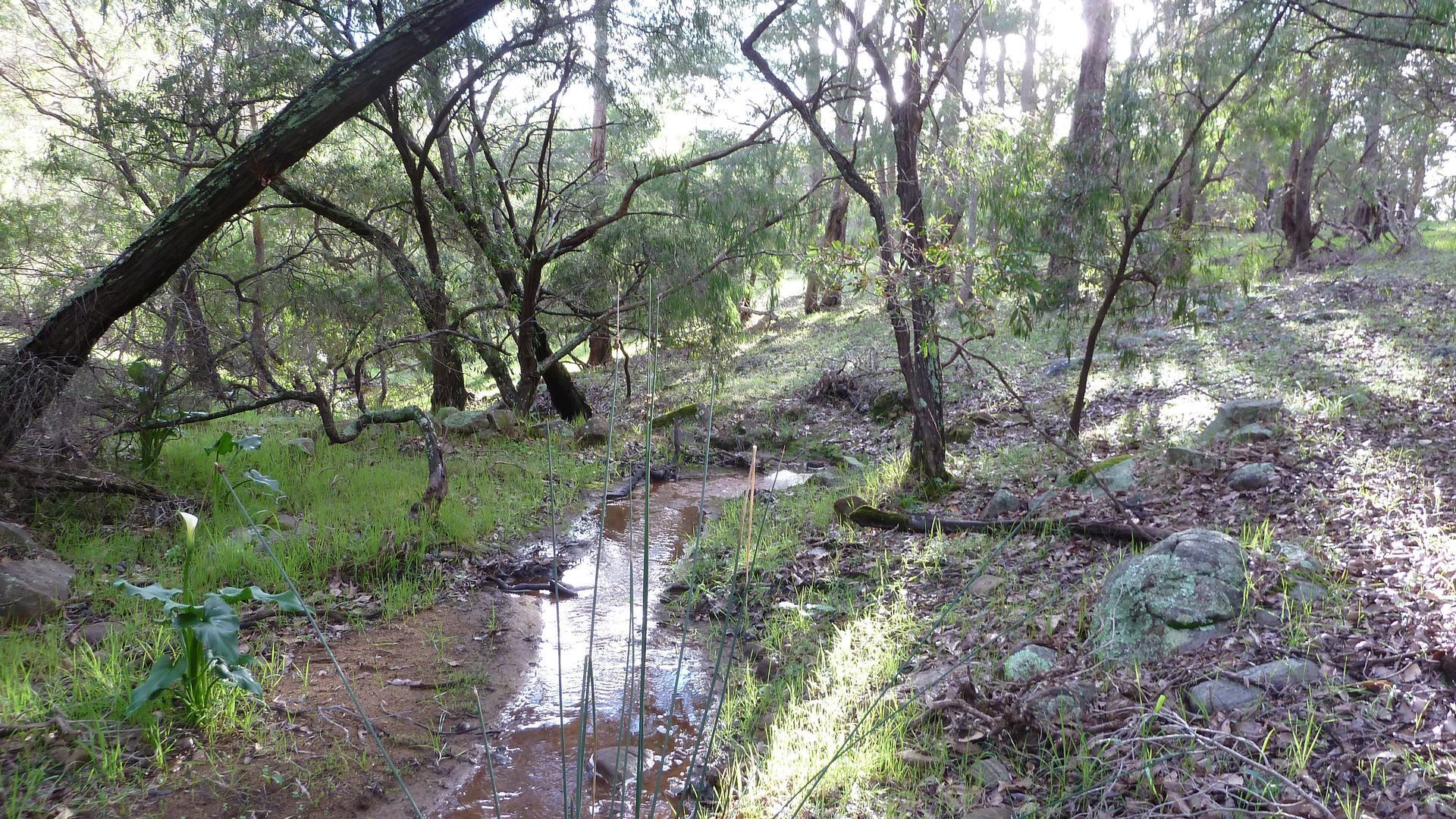 Yallingup Hidden Valley — image 27