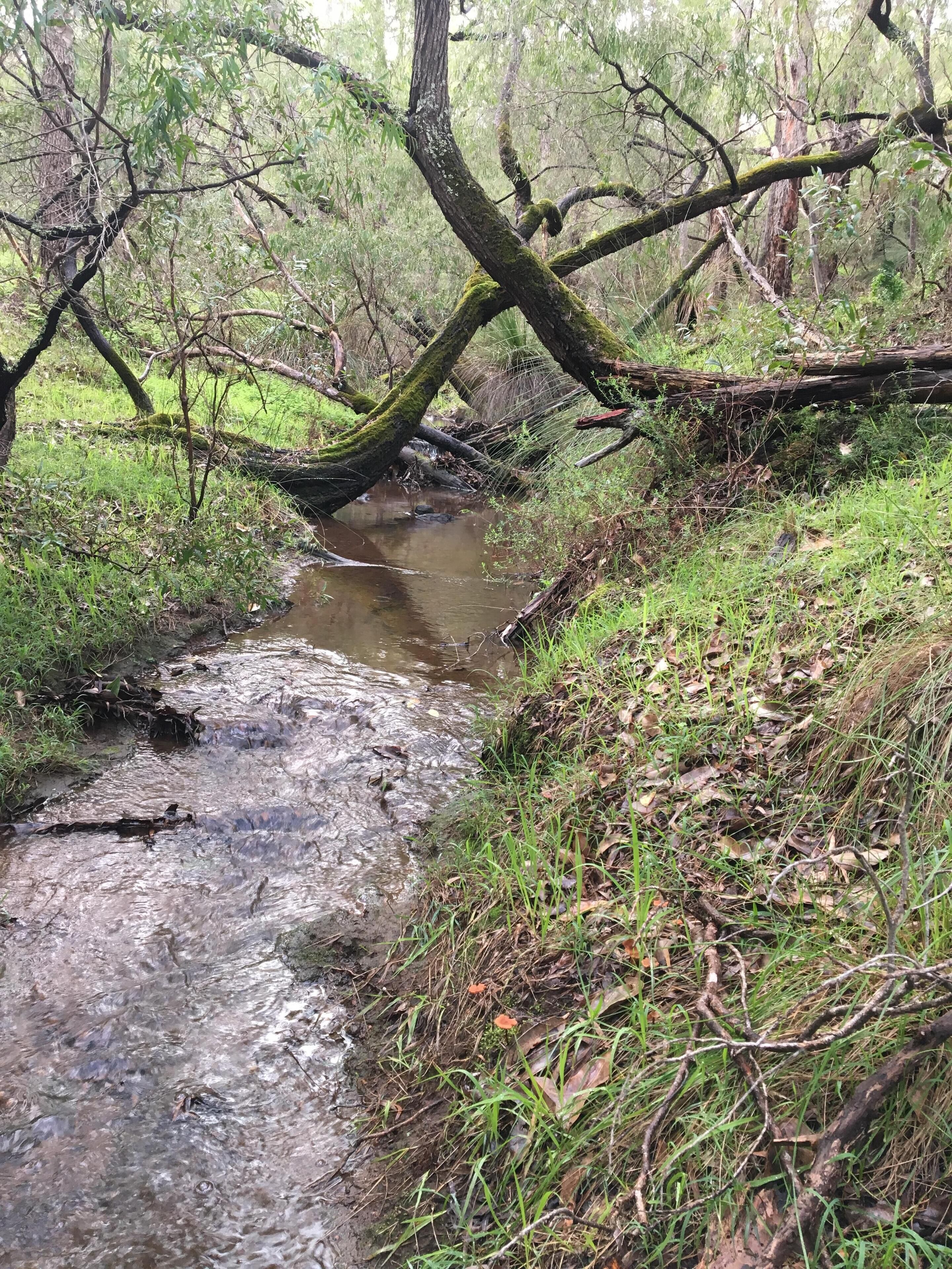 Yallingup Hidden Valley — image 29