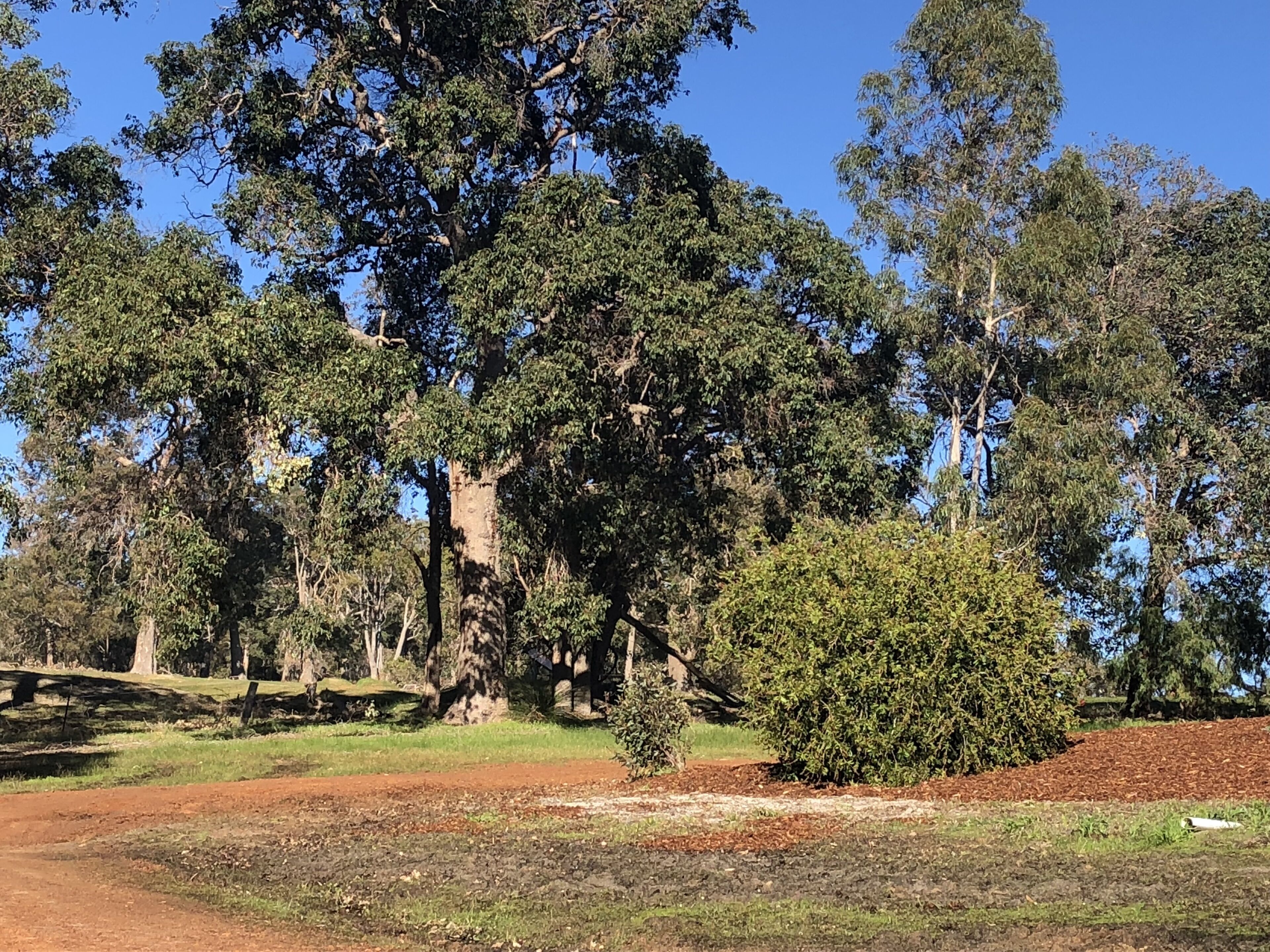 Yallingup Hidden Valley — image 28