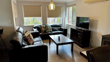 Smart TV, fireplace, DVD player
