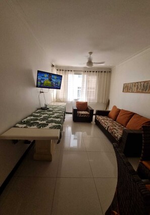 Smart TV, DVD player, livros