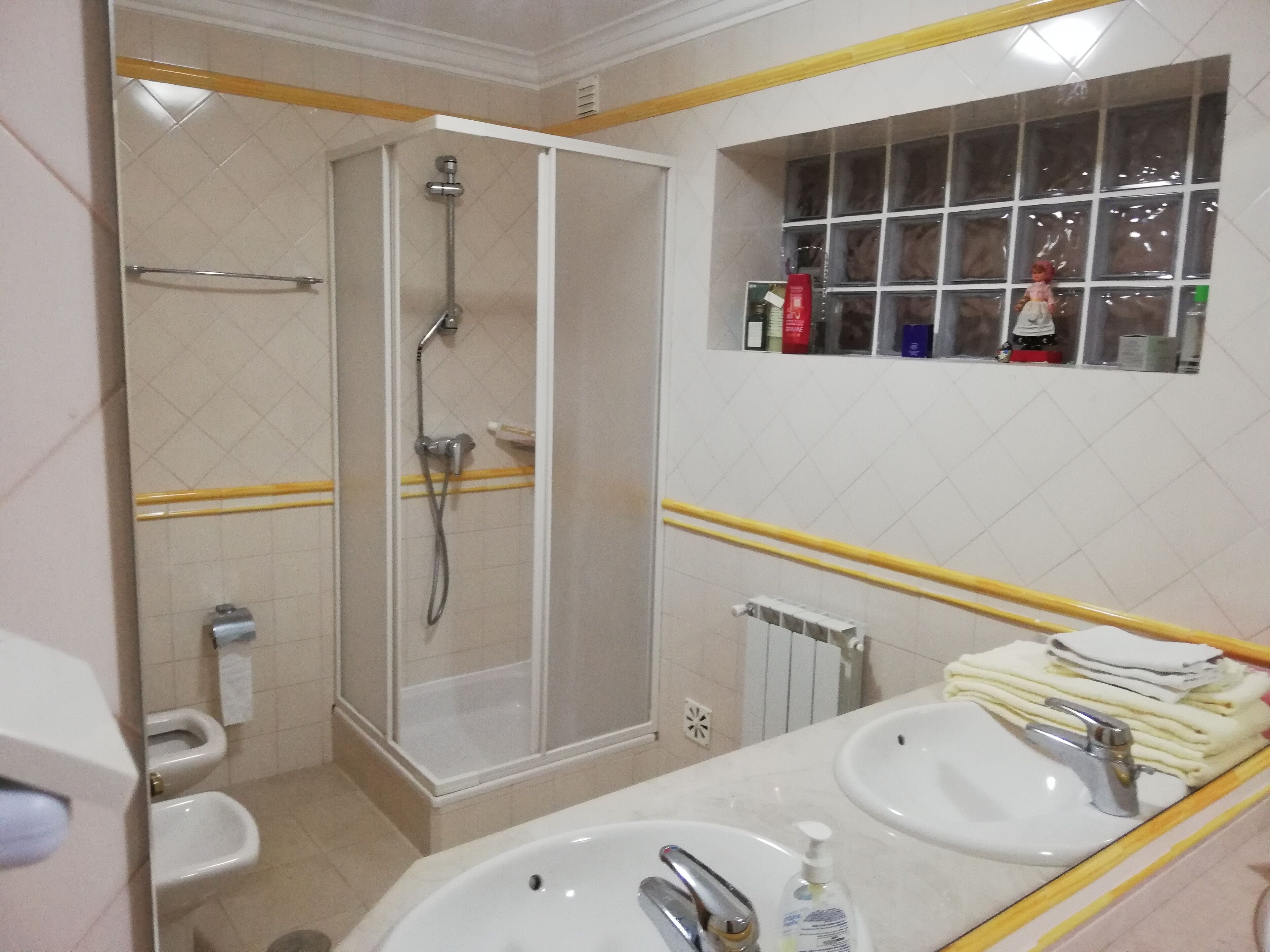 Shower, hair dryer, slippers, bidet