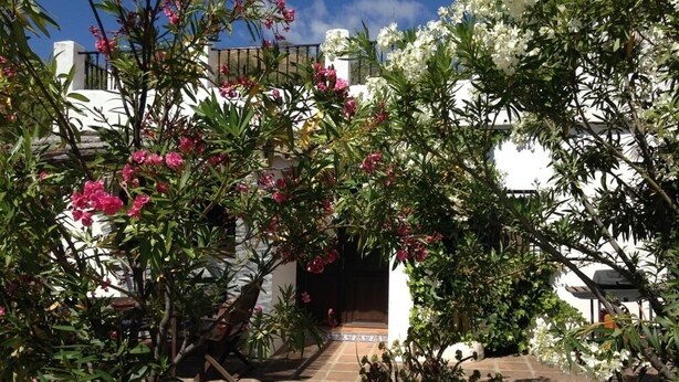Property grounds - Pretty Reformed Stables With Spectacular Country Views, Private Pool And Gardens (El Tropezon, Colmenar)