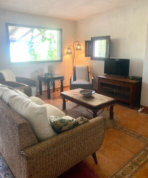 Televisor intel·ligent, llar de foc i llibres