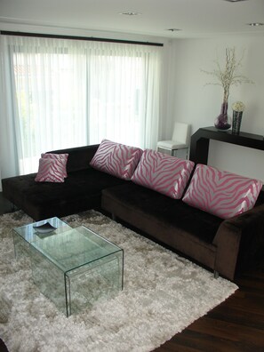 電視、壁爐、DVD 播放機、足球機