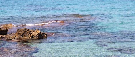 Sun-loungers, beach towels