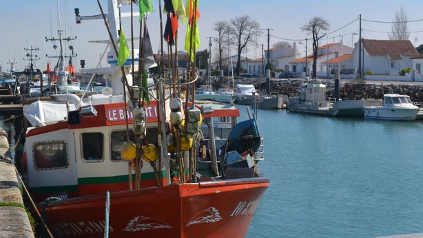 Un bateau rouge était amarré dans une marina, plusieurs drapeaux flottaient et un ciel bleu azur s’étendait à l’arrière-plan.
