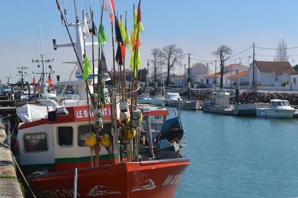 Marina