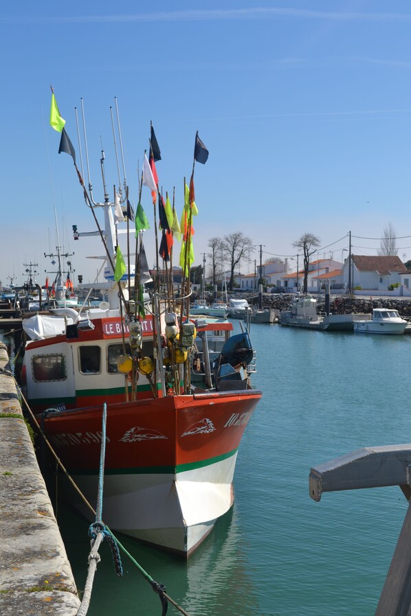 Marina - Apartment/ flat - Saint-Pierre-d''Oléron (Saint-Pierre-D'oléron)