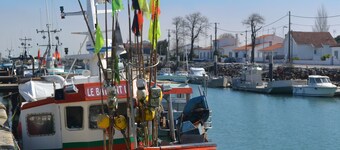 Apartment/ flat - Saint-Pierre-d''Oléron