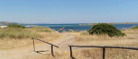 A coastal path leading to the sea with dry grass and a wooden railing.