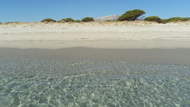 A beach with clear shallow waters and distant dunes. - Apartment/ flat - POSADA (Posada)
