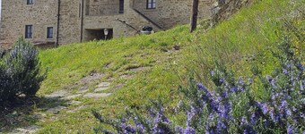 ancient tuscany House with character with garden and swimming pool