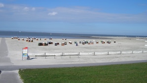 A beach with numerous portable toilets lined up in rows.