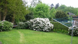 A garden with a clothesline, a hedge, and a path.