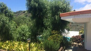 A garden with various plants and a lamp post. - 🦎Charming gem with pool in the mountains. Located 20min sw. from Las Palmas 🦎 (santa brigida)