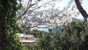 Et udsigtspunkt over en bygning med et traditionelt tag, omgivet af frodig vegetation og blomstrende træer.