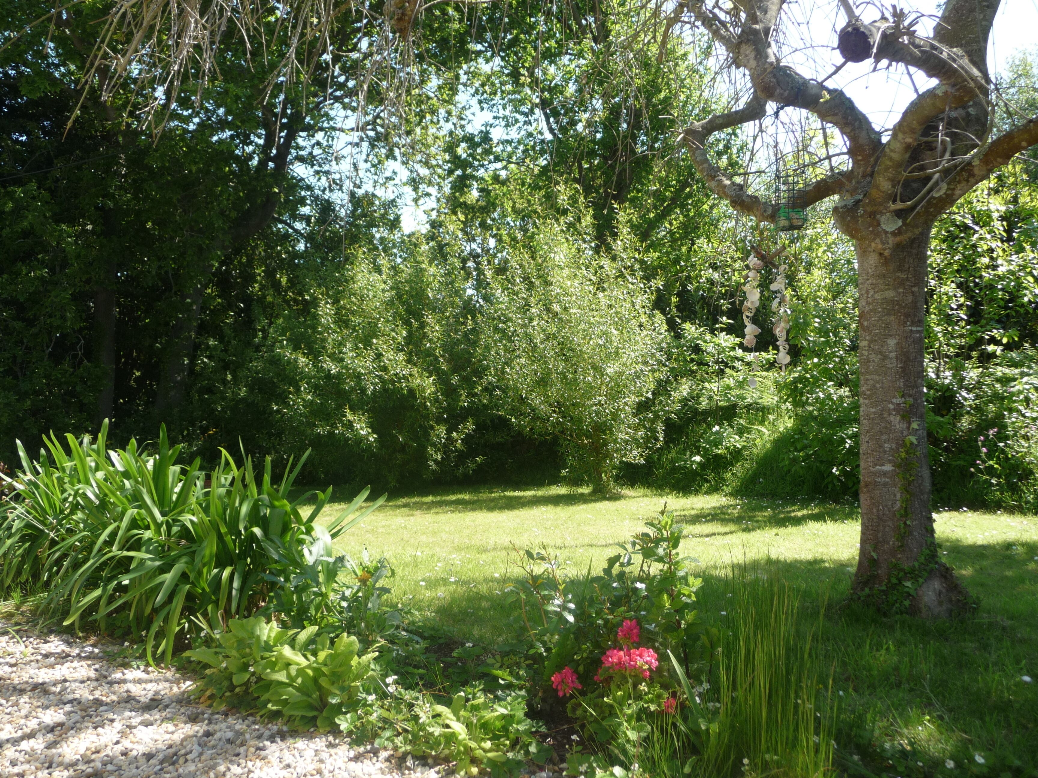 A garden with a variety of plants and a tree with a birdhouse.