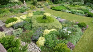 Un jardin bien entretenu, agrémenté de diverses plantes et doté d’un chemin en pierre.