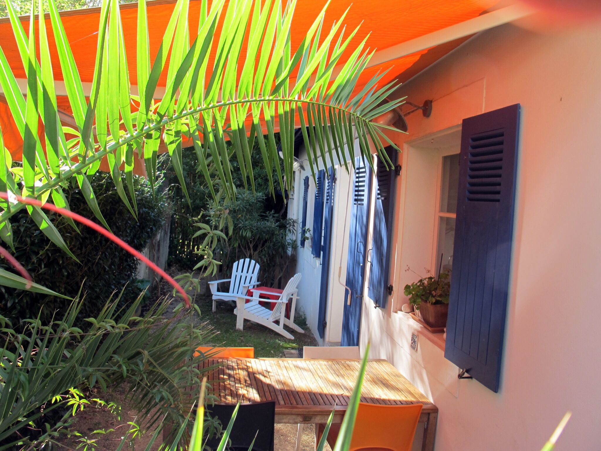 A patio with a wooden table and two white chairs, surrounded by lush greenery and a blue wall with shutters.