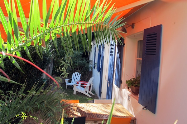 テラス / パティオ