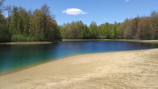 Una escena serena al costat d'un llac, amb una platja sorrenca i un bosc dens.