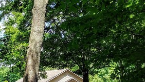 Una casa residencial amb jardí davanter, una entrada de cotxes i un arbre gran.