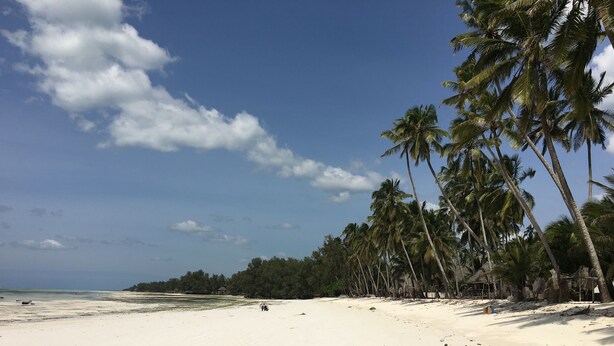 Beach nearby - D&J Villa (Kiwengwa)