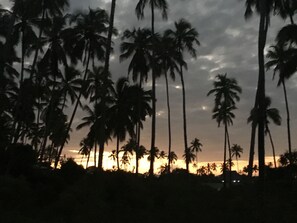Vista desde la habitación