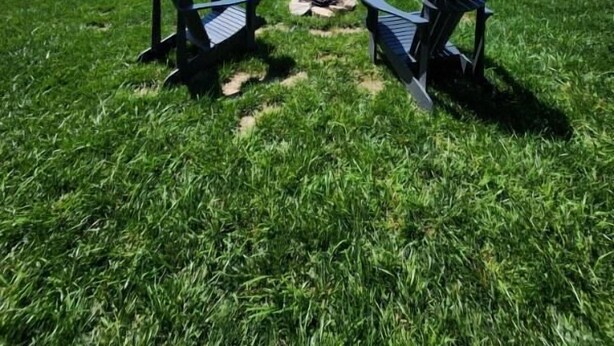 Two Adirondack chairs facing a lake with a clear sky. - Snug Harbor Inn - Midship Cottage (Sturgeon Bay)