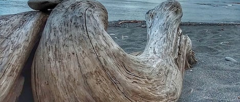 Plage à proximité, serviettes de plage