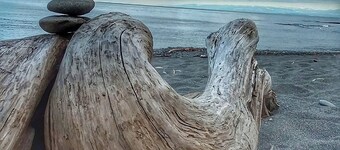 Konverteret polstamme i nærheden af stranden bliver luksusdestination