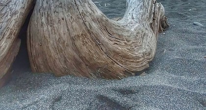 Converted Pole Barn Near Beach Becomes Luxury Destination