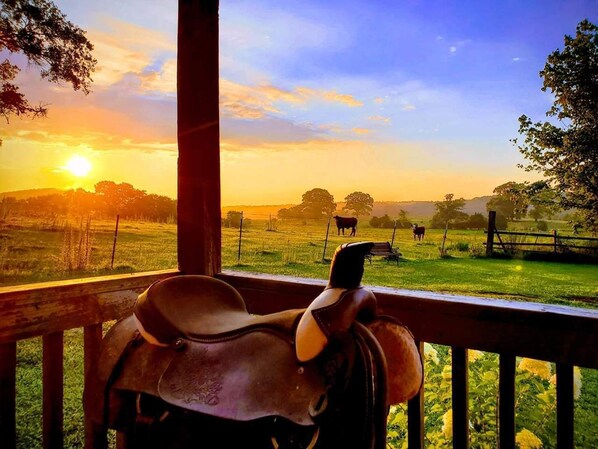 A rustic wooden porch with a leather saddle leaning against the railing, overlooking a grassy field with cows and a sunset in the background. - BEAUTIFUL PLACE! NEW POOL Relaxing, Peaceful, Meticulous Cleaned. Firepit, Grill (Alpine)