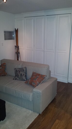 Couch and folded up Murphy bed
