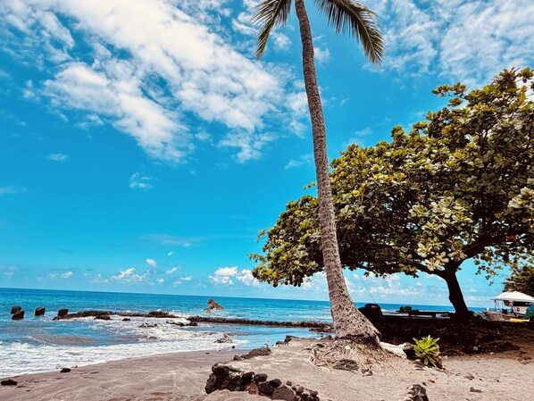 A beach with a palm tree, rocky shoreline, and clear blue sky.