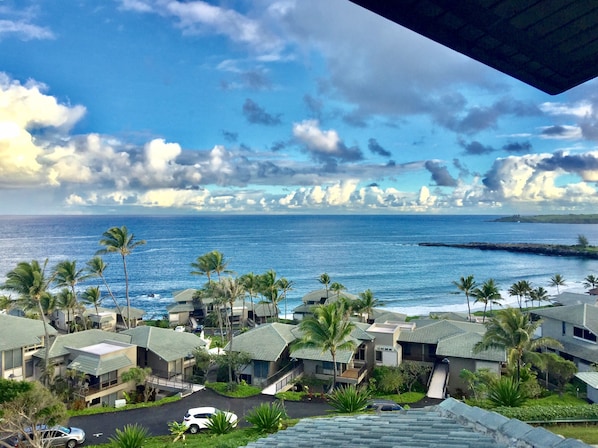 A coastal residential area with houses, palm trees, and a view of the ocean.