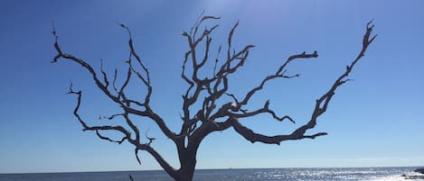 Vlak bij het strand, strandlakens