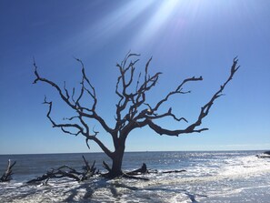 Beach nearby, beach towels