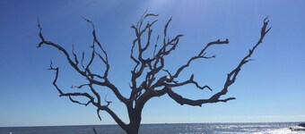 Walk to village Ocean 6  & near beach private 2 king beds plus bunk beds