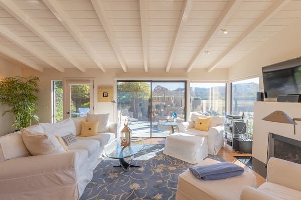 Smart TV, chimenea, reproductor de DVD y libros