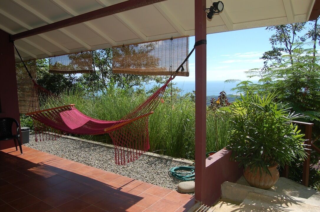 Une terrasse couverte avec un hamac, une plante en pot et une vue sur l’océan.