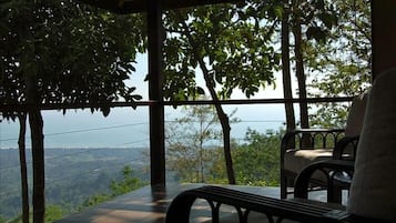 Terras