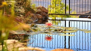 Piscina al aire libre
