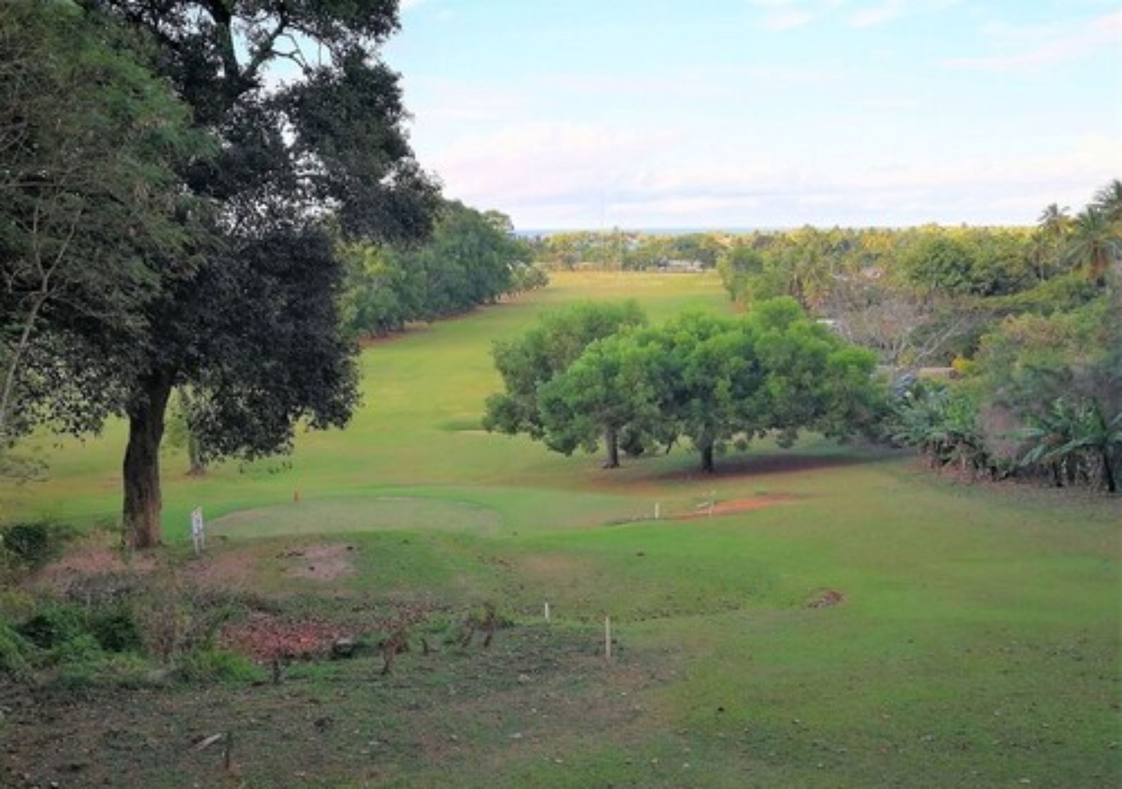 Een golfbaan met bomen en open grasvelden.