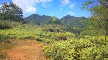 Un paisaje verde exuberante con un sendero de tierra que lleva hacia una cordillera.