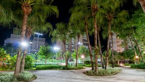 Vista nocturna de un área ajardinada con palmeras, un camino pavimentado y un edificio de varios pisos al fondo.