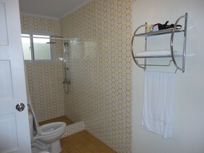 Double Room, 1 Queen Bed